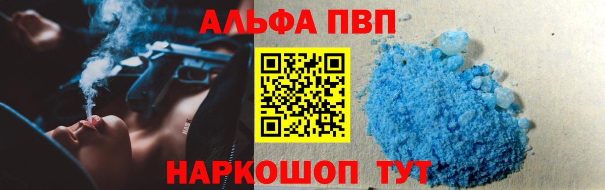 Alfa_PVP СК КРИС Урус-Мартан