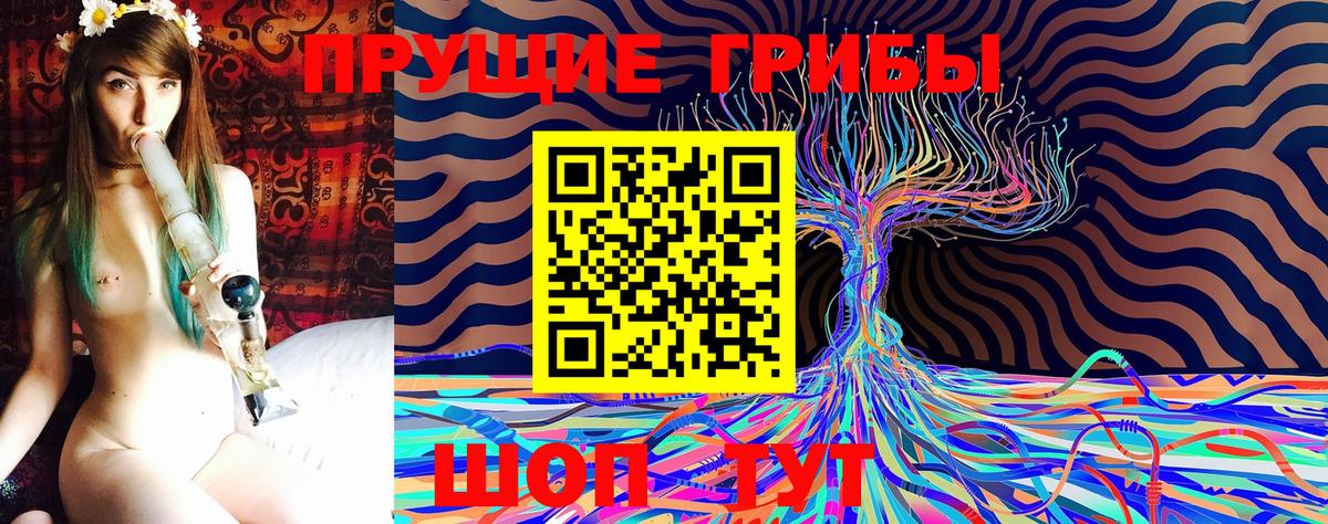 Псилоцибиновые грибы мицелий  хочу   Вход с VPN  Урус-Мартан  Галлюциногенные грибы мицелий 